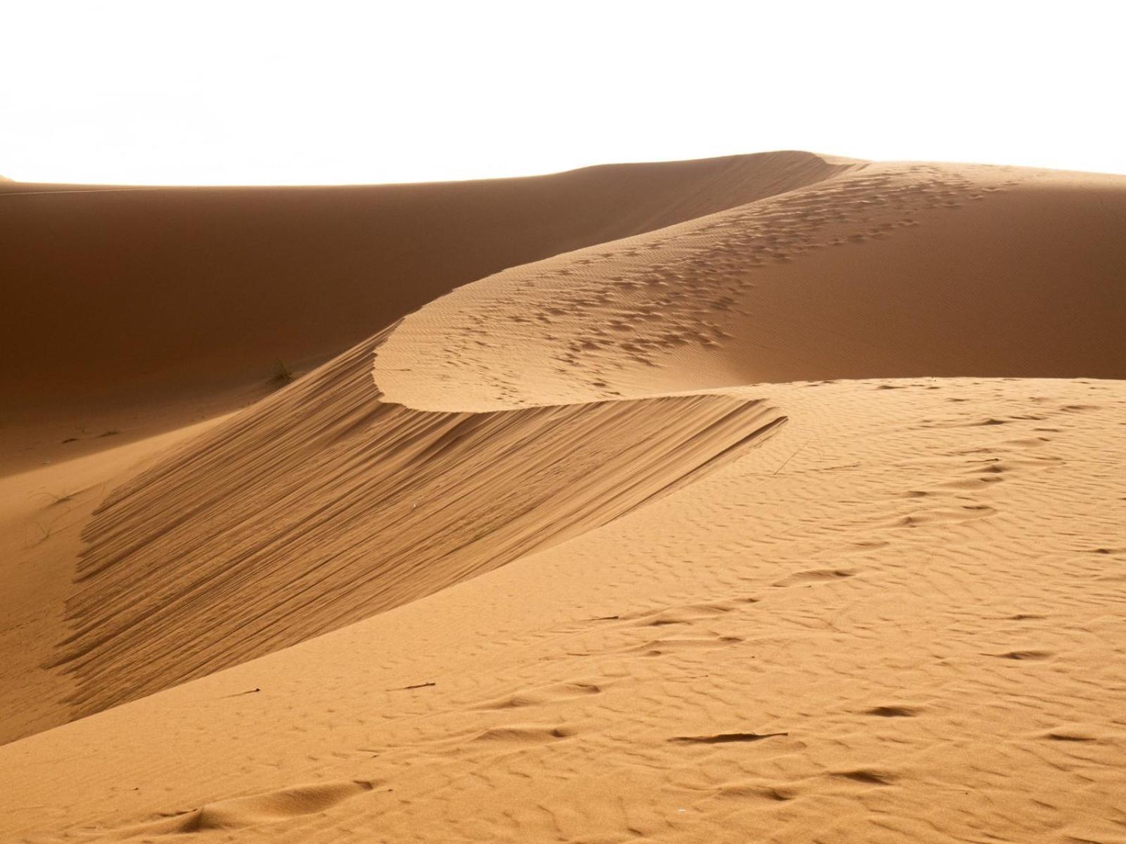 Maison Merzouga Guest House Ngoại thất bức ảnh