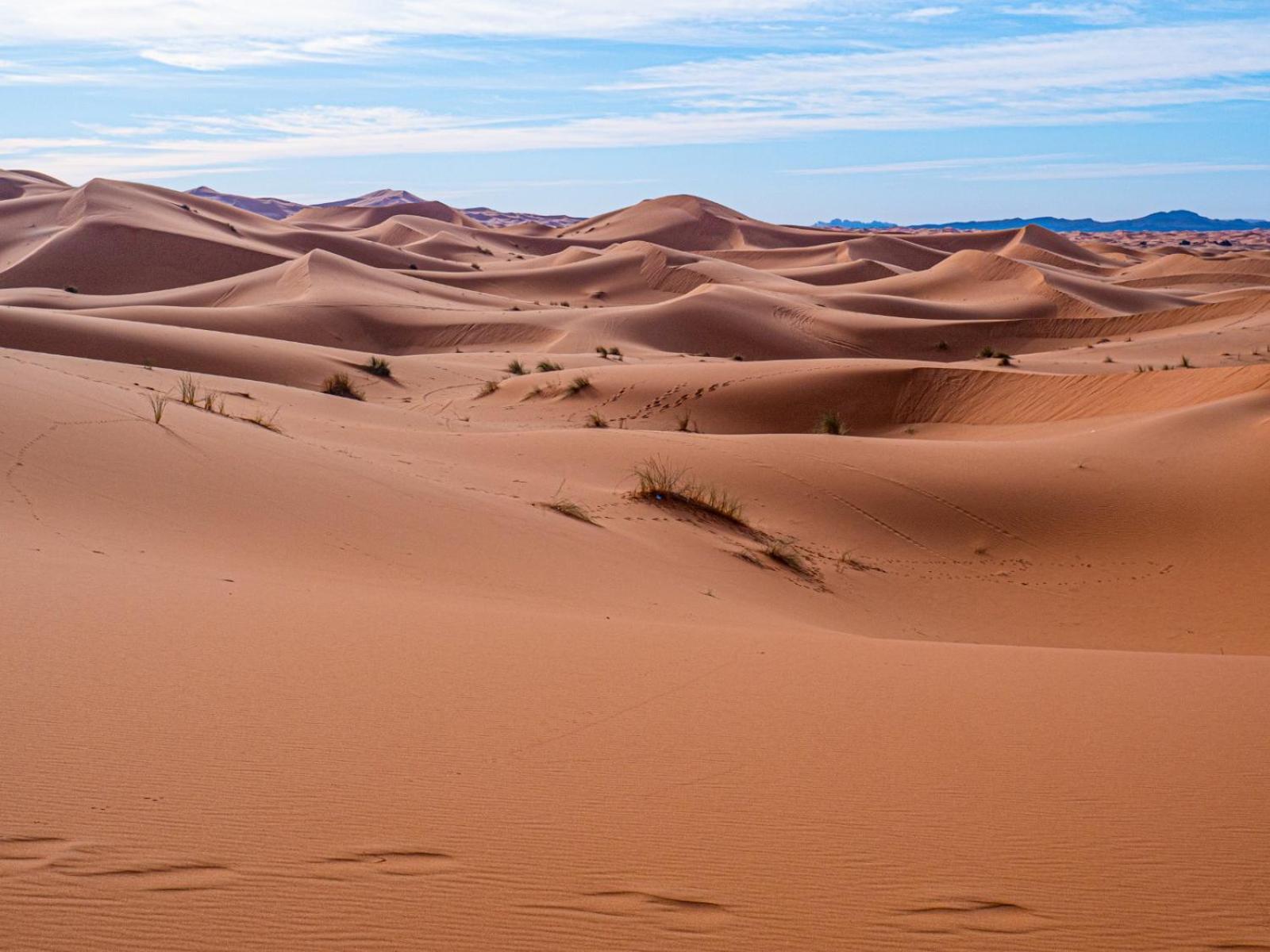 Maison Merzouga Guest House Ngoại thất bức ảnh